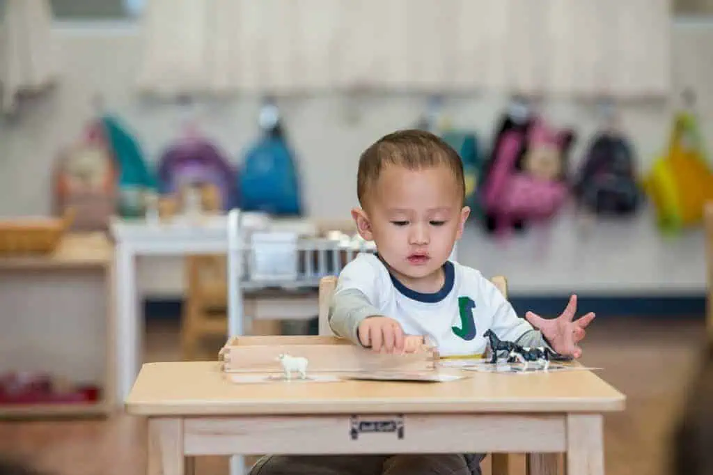 parenting advice for preschoolers child working with Montessori animal figures at table